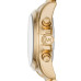 Годинник Michael Kors MK6267