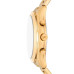 Годинник Michael Kors MK1076SET Годинник Michael Kors MK1076SET