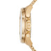 Годинник Michael Kors MK8867 Годинник Michael Kors MK8867